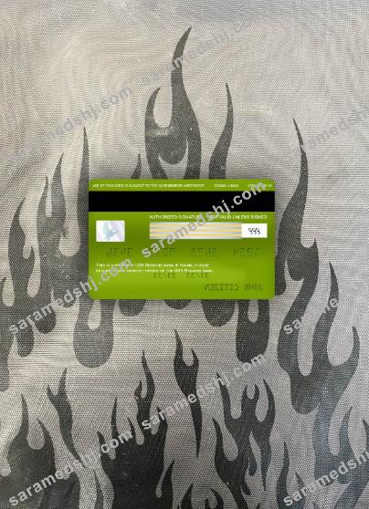 USA Regions bank visa electron card photolook back